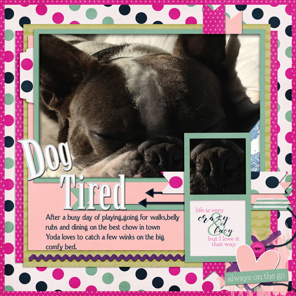 DOG TIRED