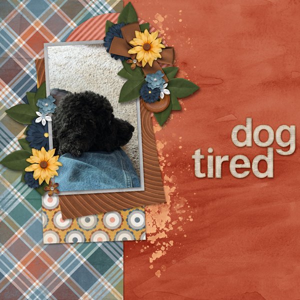 Dog Tired