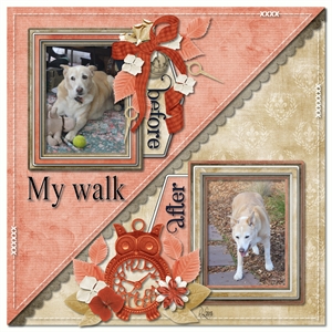 Dog walk
