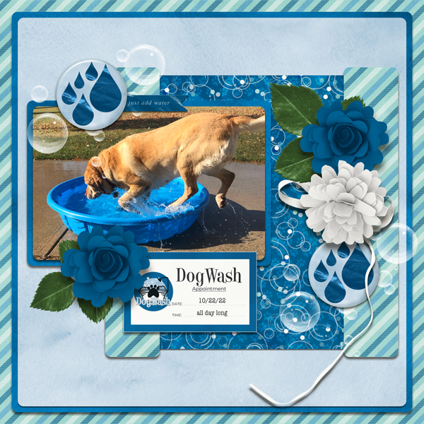 Dog Wash - Fancy