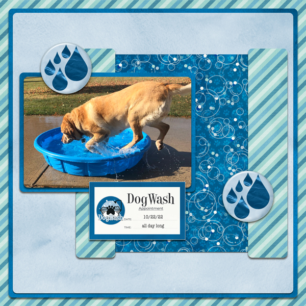 Dog Wash - Simple
