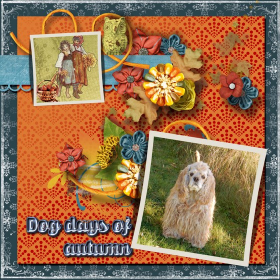 Dog_days_of_autumn