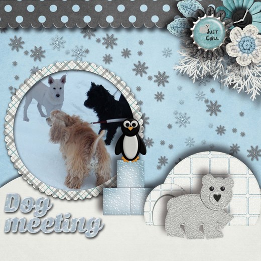 Dog_meeting