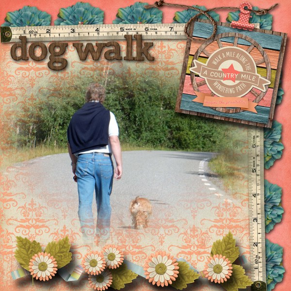 dog_walk