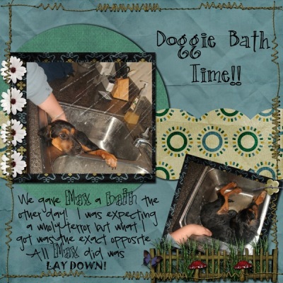 Doggie Bath Time
