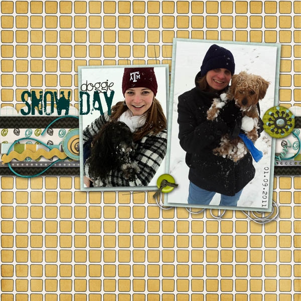 Doggie Snow Day