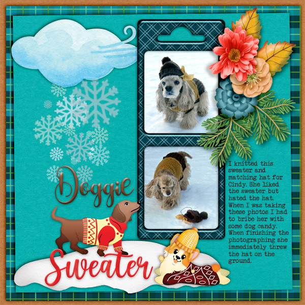 Doggie-sweater
