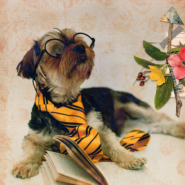 Doggie