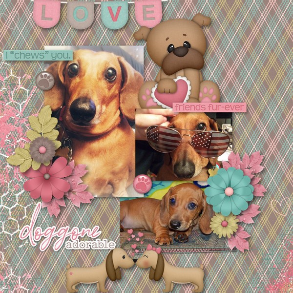 Doggone Adorable