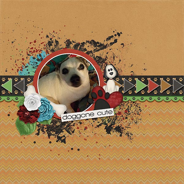 Doggone Cute