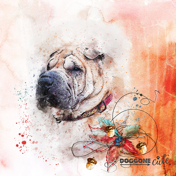 Doggone Cute