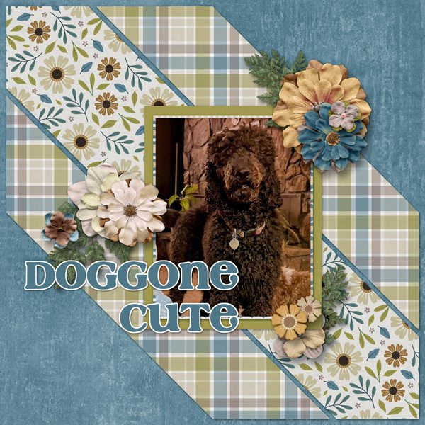Doggone Cute