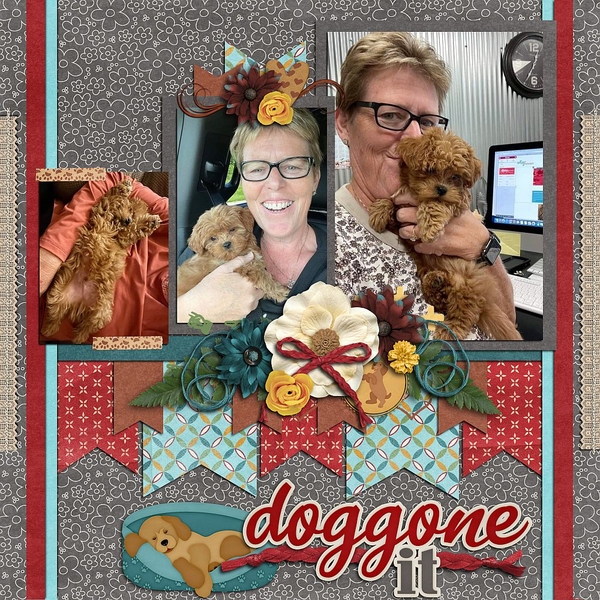 Doggone it