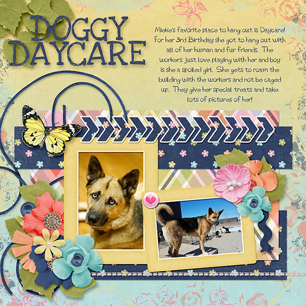 Doggy Daycare