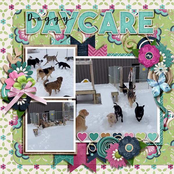 Doggy Daycare