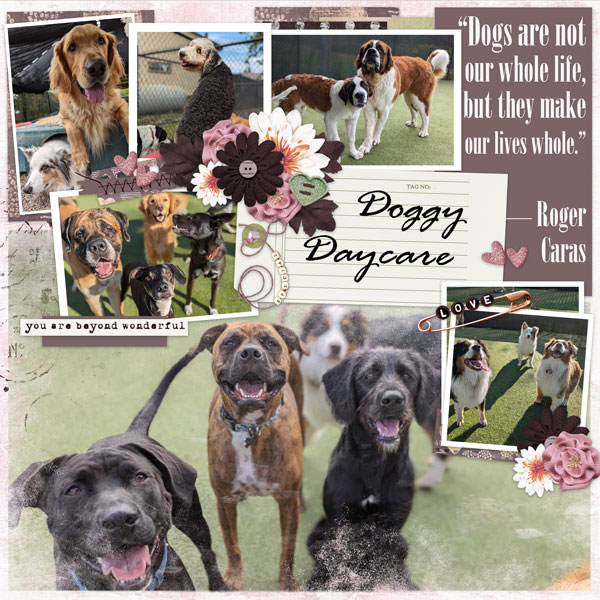 Doggy Daycare
