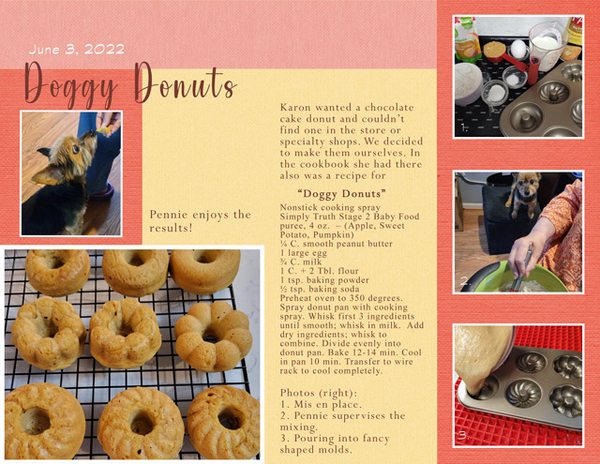 Doggy Donuts