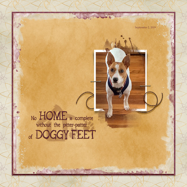 Doggy Feet