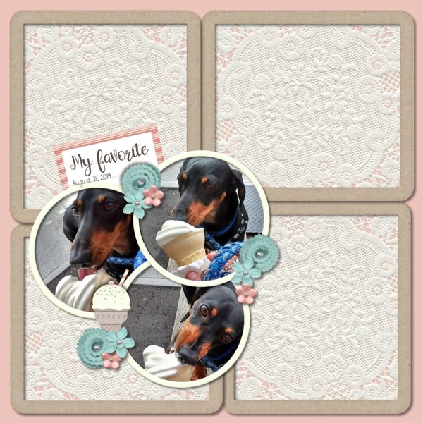 Doggy Ice Cream