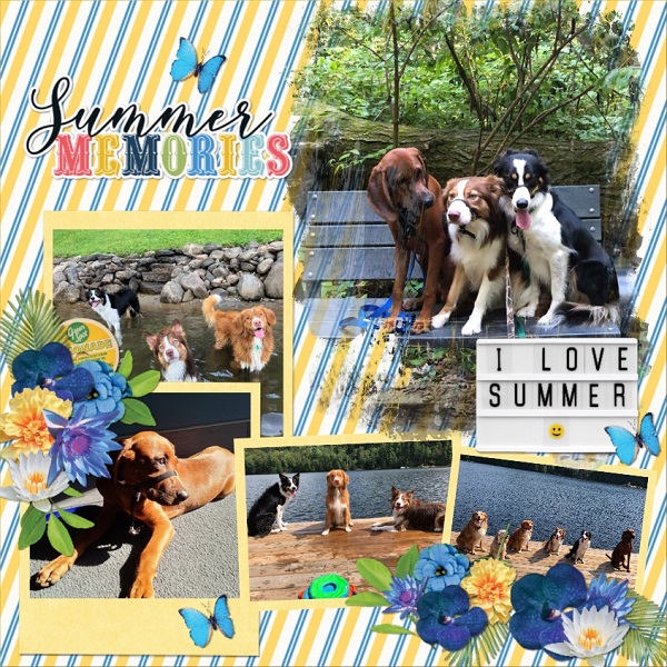 Doggy Summer Fun
