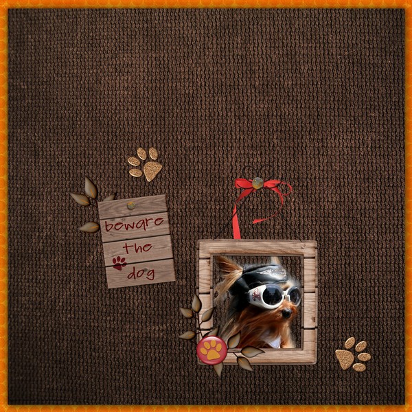 doggy