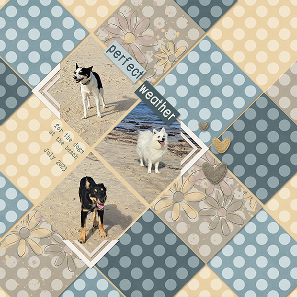 Dogs at Beach