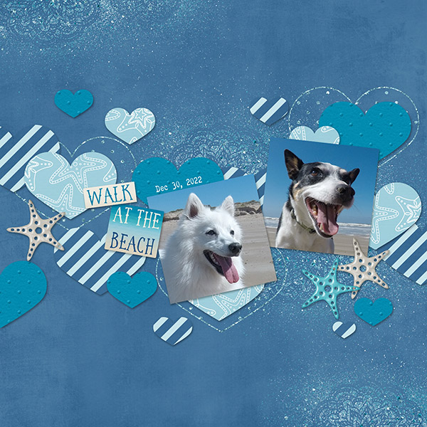 Dogs at the Beach