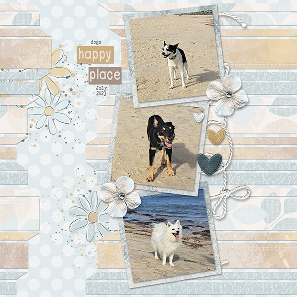 Dogs at the Beach