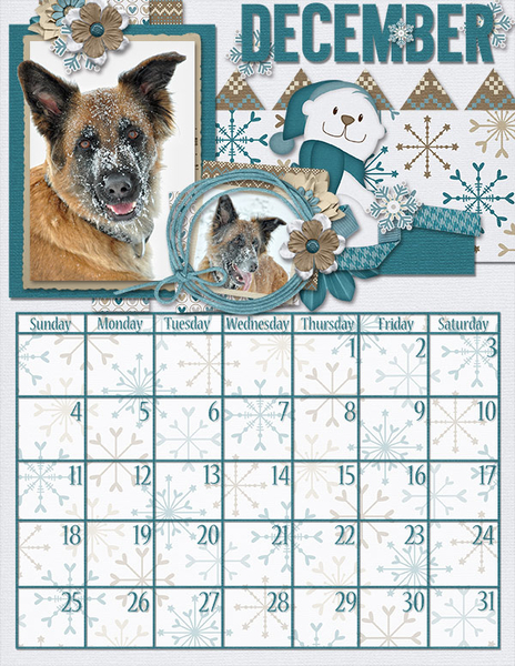 Dogs December 2016