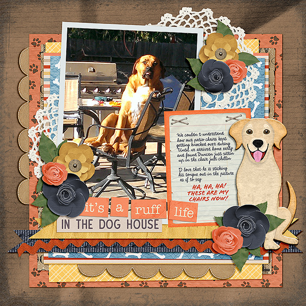 Dogs---Do-the-Darndest---Duncan