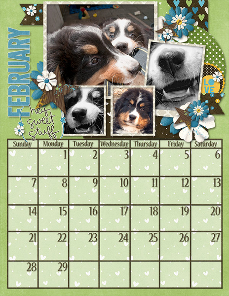 Dogs February 2016