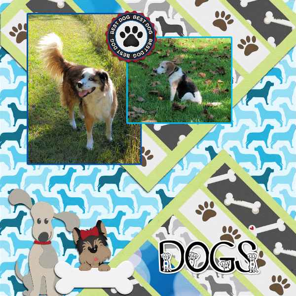 DOGS INSD
