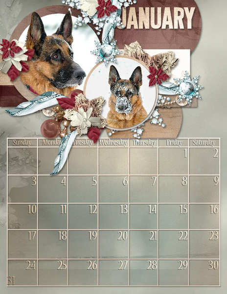 Dogs January 2016