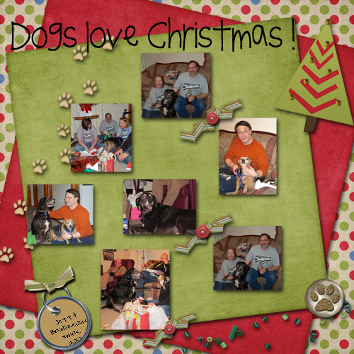 Dogs love Christmas