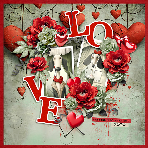 Dogs never lie about love