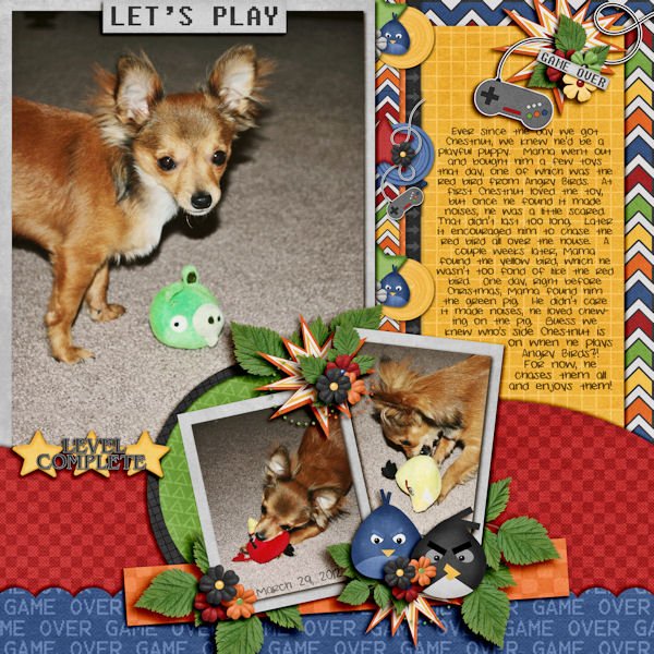 Dogs Obsession