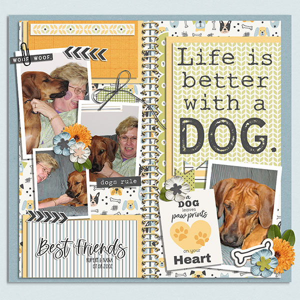 dogs rule