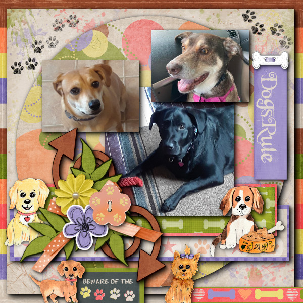Dogs Rule