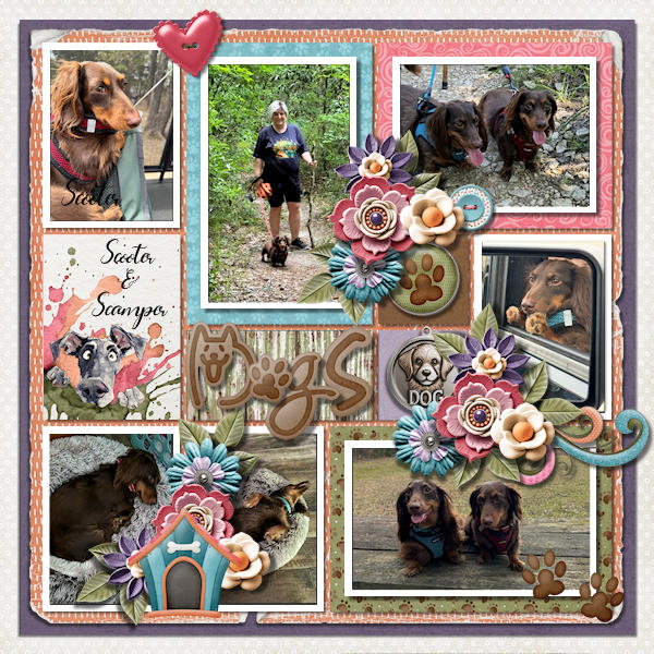 Dogs Scooter And Scamper
