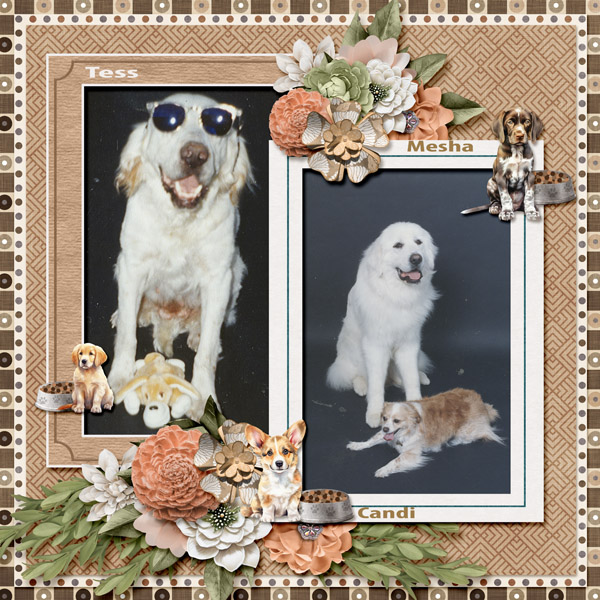 dogs_small