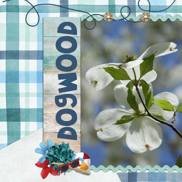 Dogwood