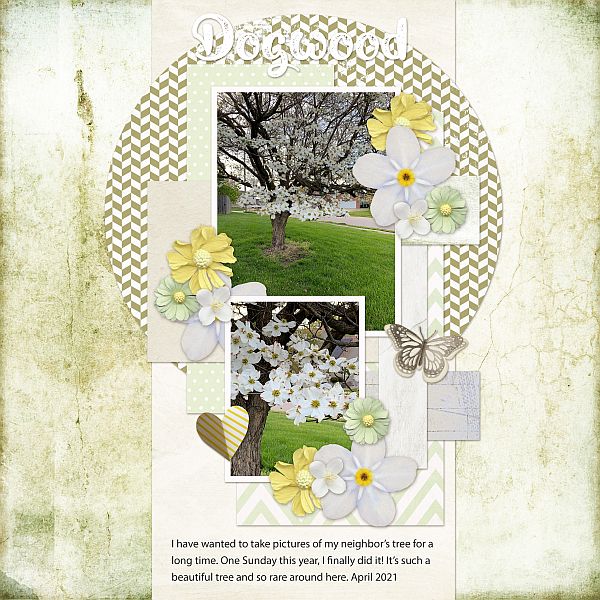 Dogwood