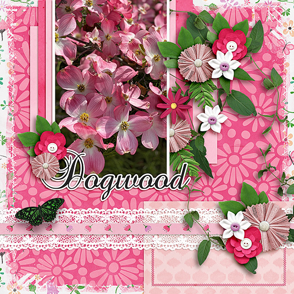 Dogwood