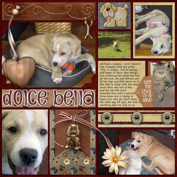 Dolce Bella