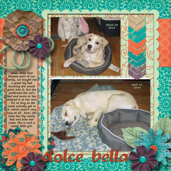 Dolce Bella
