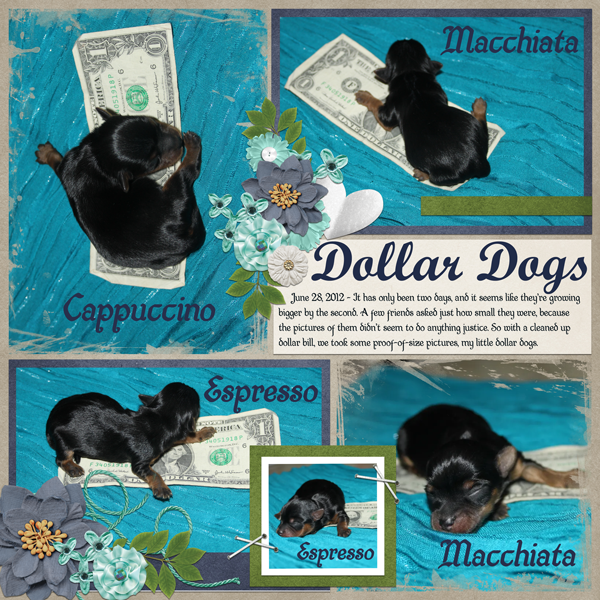 Dollar Dogs