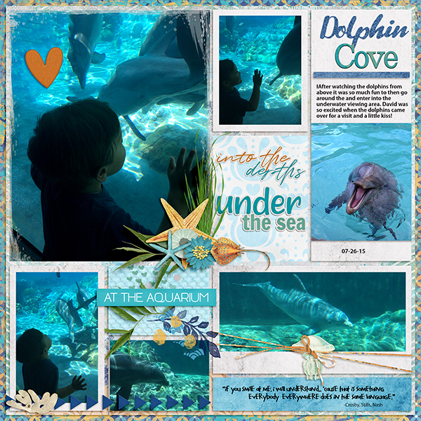 Dolphin Cove - Sea World