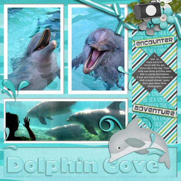 Dolphin Cove
