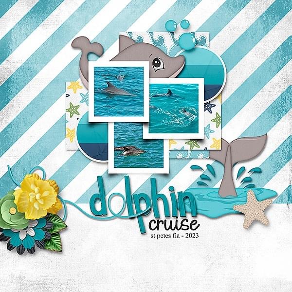 Dolphin Cruise