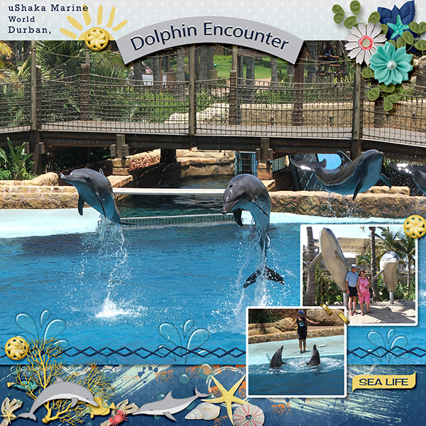 Dolphin Encounter uShaka Marine world